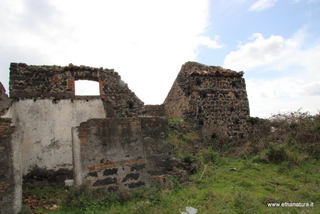 ammena-26-02-2023 13-43-24